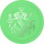 Frisbee Discgolf KUI Tiger Line green