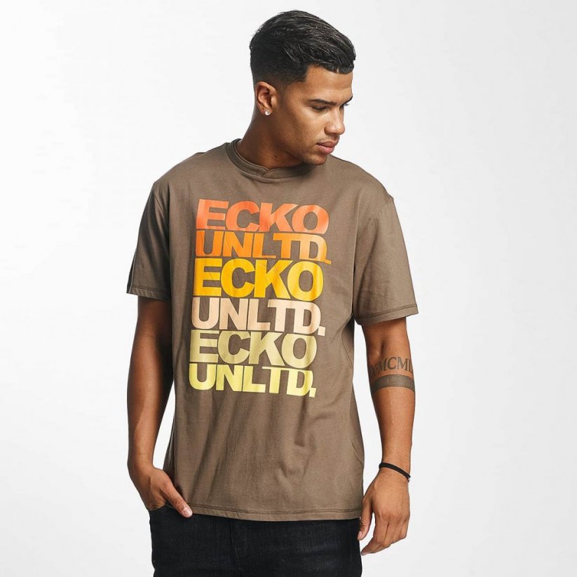 Ecko Unltd. / T-Shirt Fuerteventura in brown