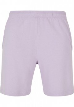 New Shorts - lilac