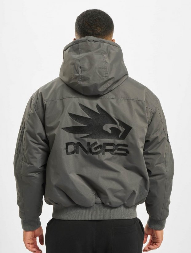 Dangerous DNGRS / Winter Jacket Grenadier in grey