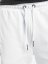Kraťasy Rocawear / Short Hudson in white