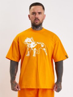 Amstaff Logo 2.0 T-Shirt Orange