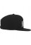 Kšiltovka Mister Tee N.W.A Snapback