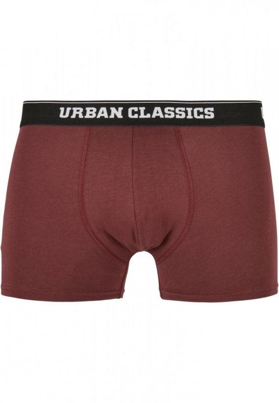 Organic Boxer Shorts 5-Pack - p.str.aop+d.aop+chr+chry+tr.gr