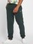 Just Rhyse / Sweat Pant Carrasco in green