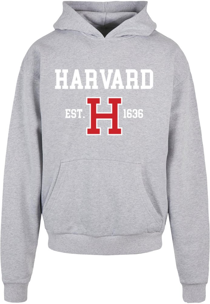 Harvard University - Est 1636 Ultra Heavy Hoody - grey S